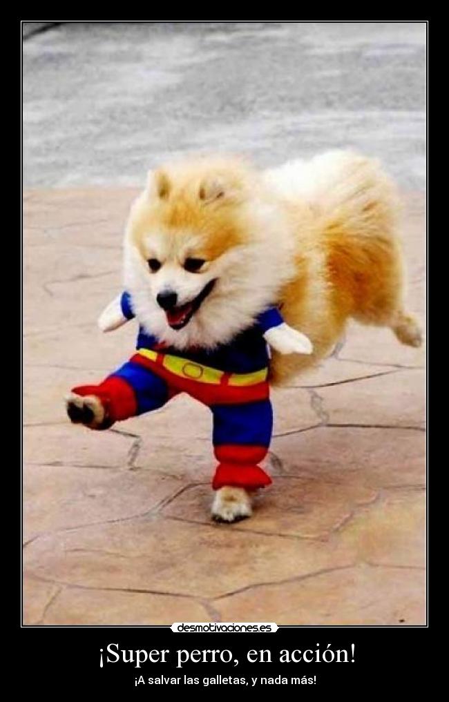 ¡Super perro, en acción! - ¡A salvar las galletas, y nada más!