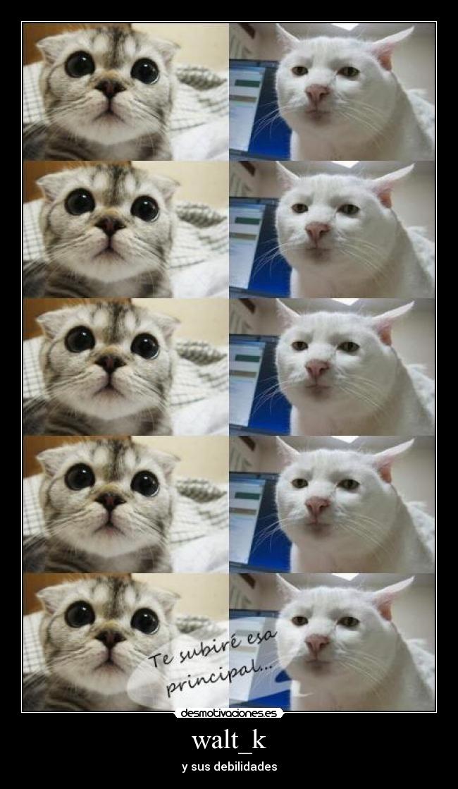 walt_k - y sus debilidades