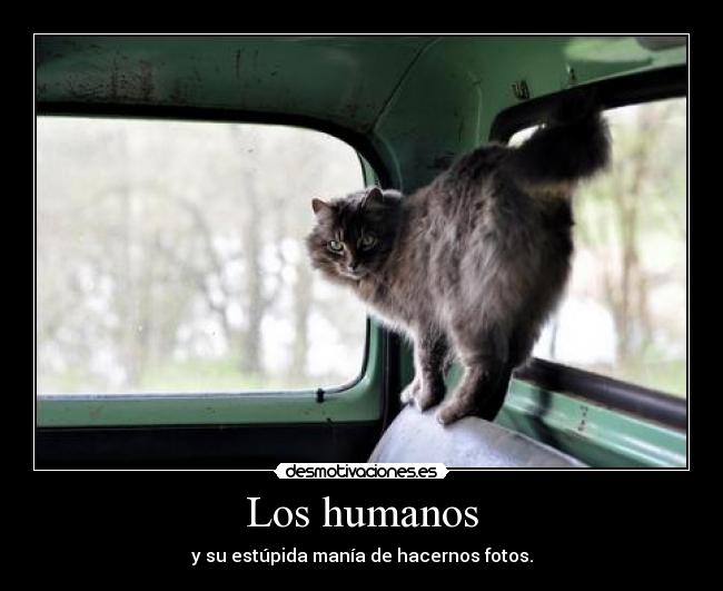 Los humanos - y su estúpida manía de hacernos fotos.