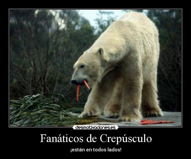 Fanáticos de Crepúsculo - ¡están en todos lados!