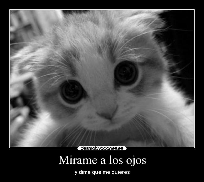 Mirame a los ojos - y dime que me quieres