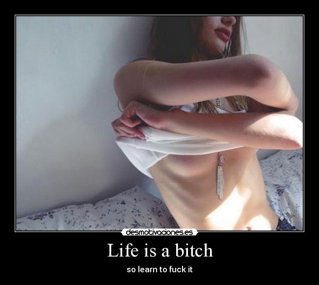 Life is a bitch - 