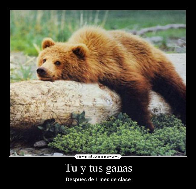 Tu y tus ganas - Despues de 1 mes de clase