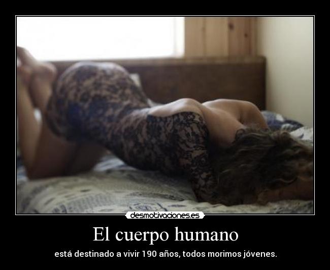 carteles raquelcb desmotivaciones