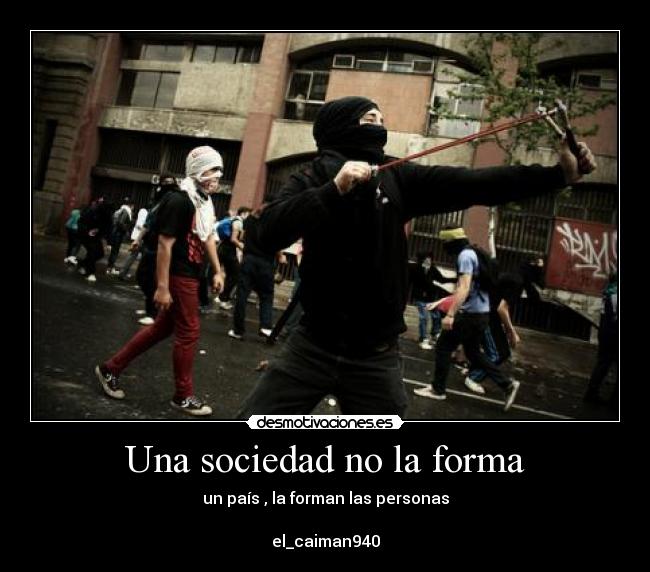 carteles sociedad caiman desmotivaciones