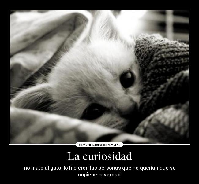 La curiosidad -