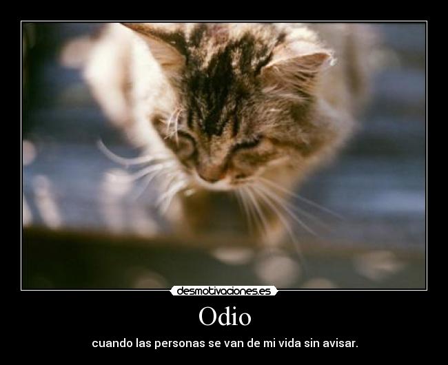 Odio -