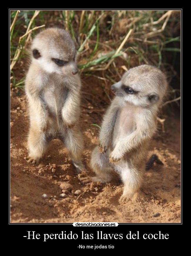 -He perdido las llaves del coche - -No me jodas tio
