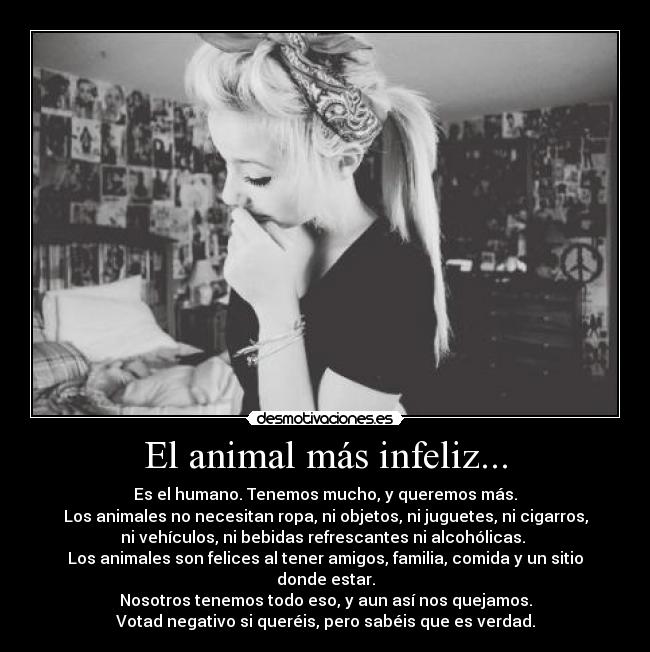 El animal más infeliz... -