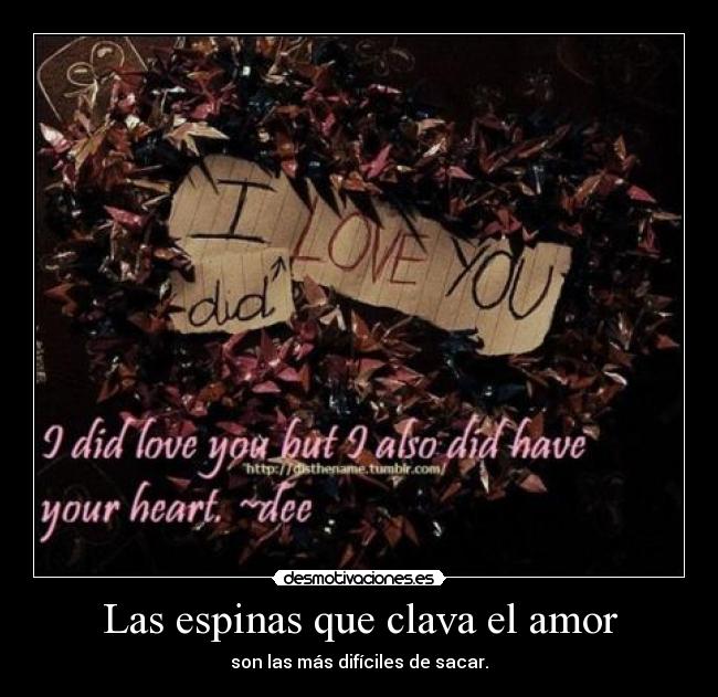 Las espinas que clava el amor - son las más difíciles de sacar.