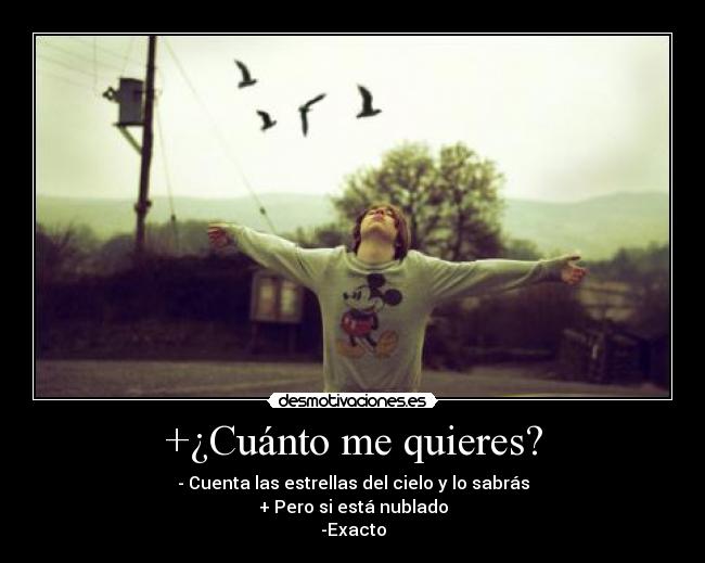 +¿Cuánto me quieres? - 