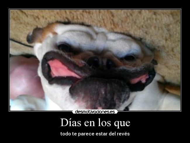 Días en los que - todo te parece estar del revés