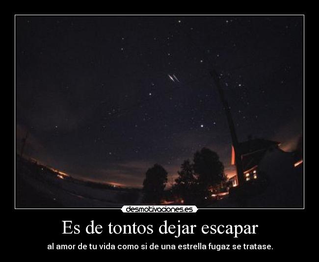 Es de tontos dejar escapar - al amor de tu vida como si de una estrella fugaz se tratase.