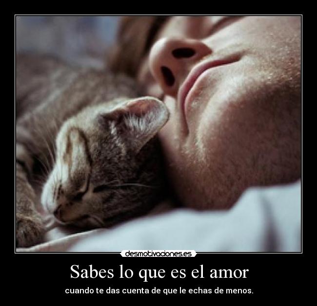 Sabes lo que es el amor - 