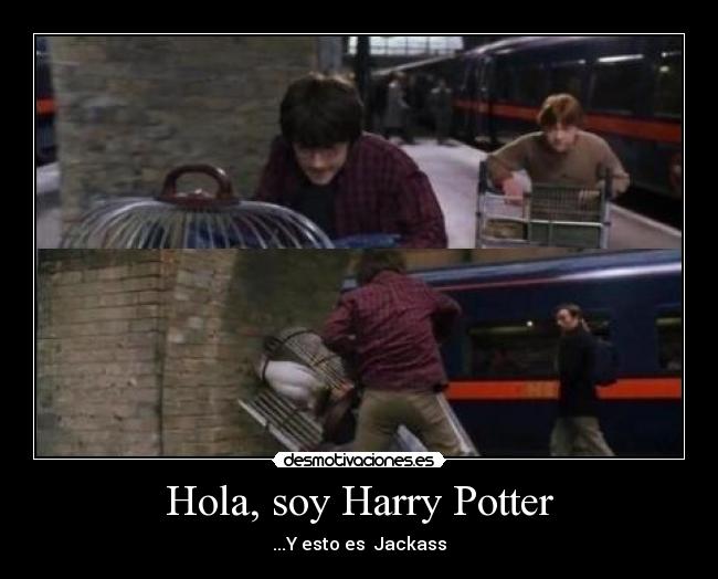 Hola, soy Harry Potter - ...Y esto es Jackass