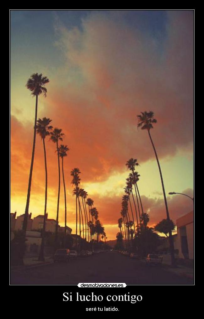 Si lucho contigo -