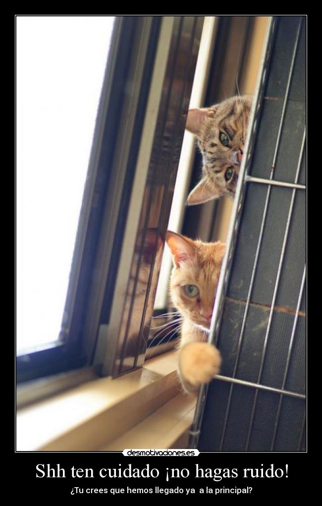 Shh ten cuidado ¡no hagas ruido! - ¿Tu crees que hemos llegado ya a la principal?