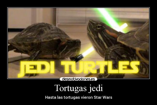 Tortugas jedi - Hasta las tortugas vieron Star Wars