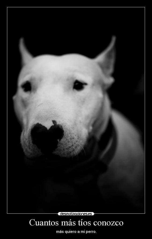 Cuantos más tíos conozco -