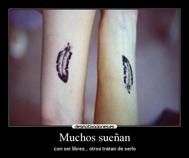 Muchos sueñan - con ser libres... otros tratan de serlo