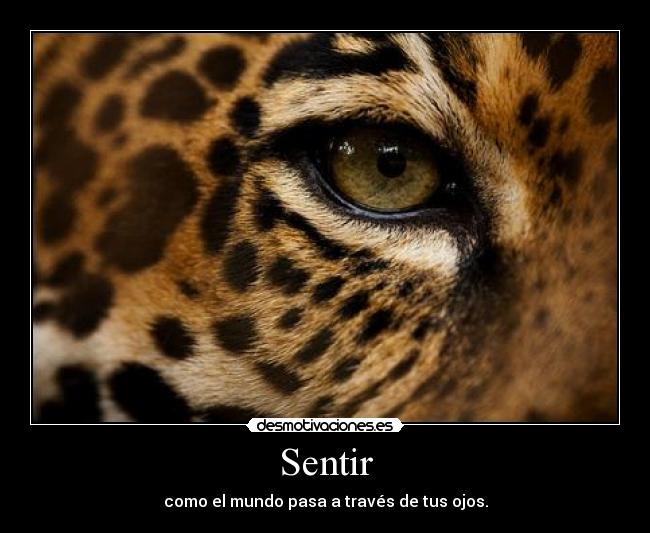 Sentir - 
