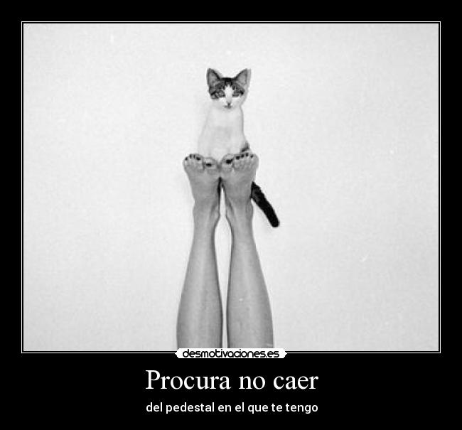 Procura no caer - 