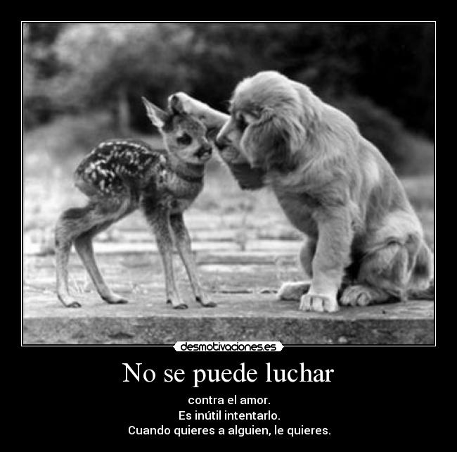 No se puede luchar -