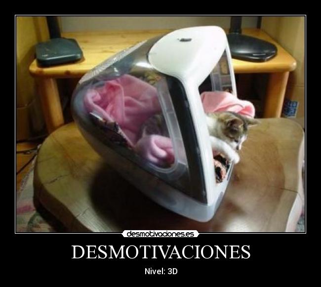 DESMOTIVACIONES -