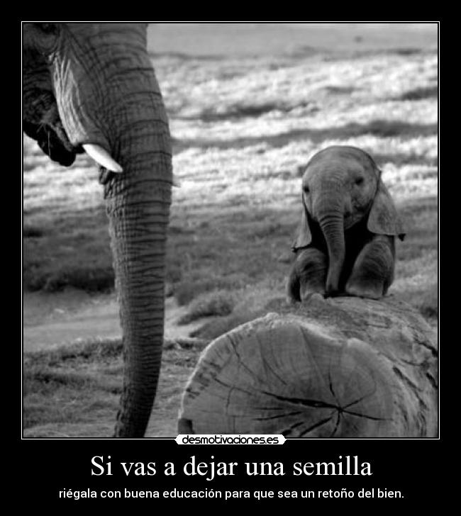 Si vas a dejar una semilla -