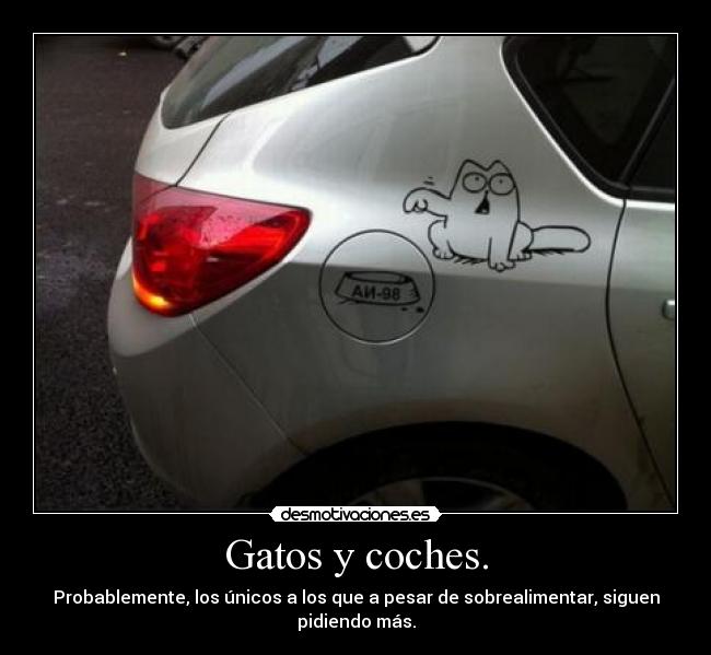 Gatos y coches. - Probablemente, los únicos a los que a pesar de sobrealimentar, siguen pidiendo más.