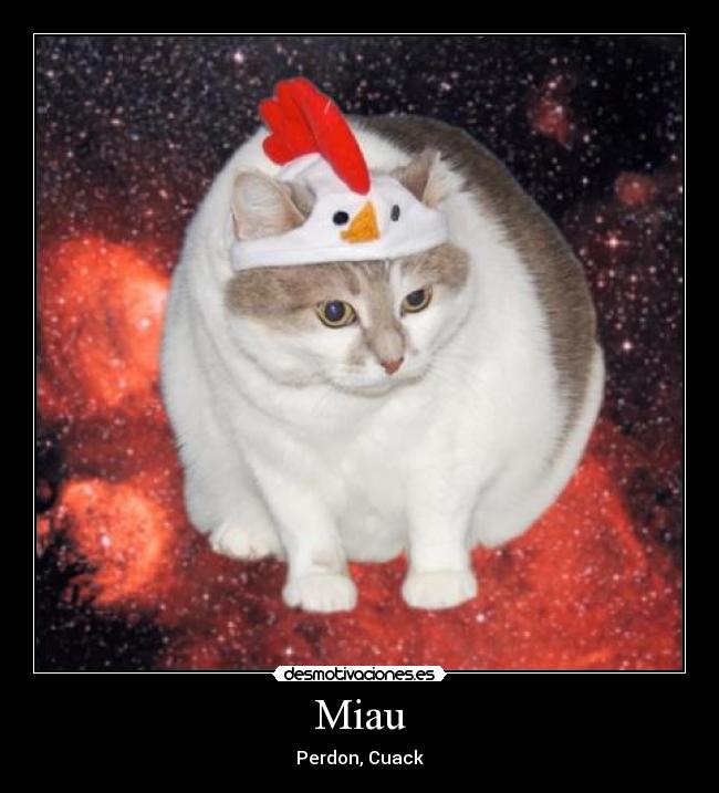 Miau -