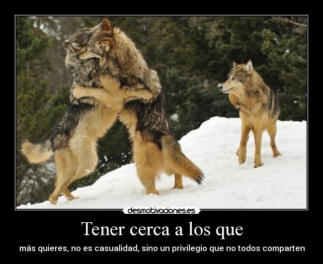 Tener cerca a los que - más quieres, no es casualidad, sino un privilegio que no todos comparten