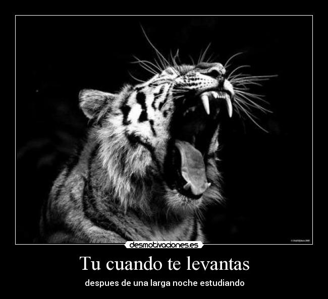 Tu cuando te levantas - despues de una larga noche estudiando
