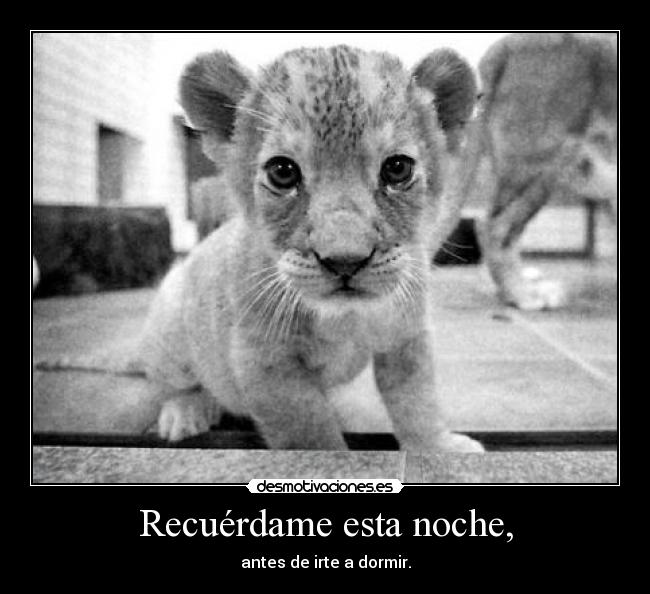 Recuérdame esta noche, - 