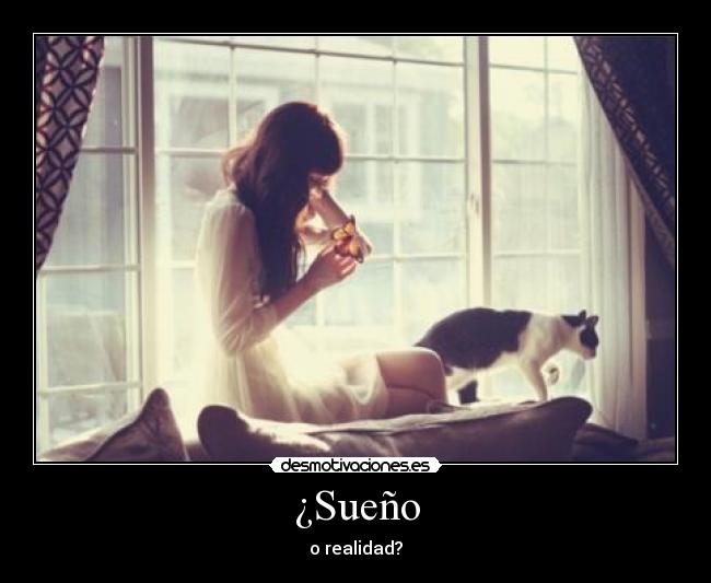¿Sueño - o realidad?