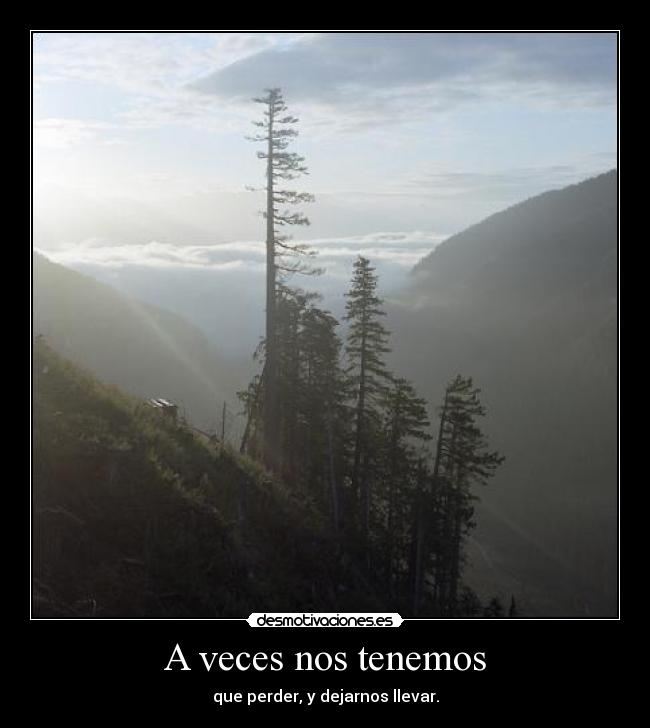 A veces nos tenemos - que perder, y dejarnos llevar.