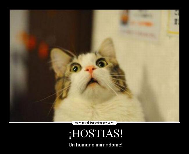 ¡HOSTIAS! - ¡Un humano mirandome!