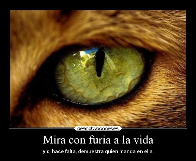 Mira con furia a la vida - y si hace falta, demuestra quien manda en ella.
