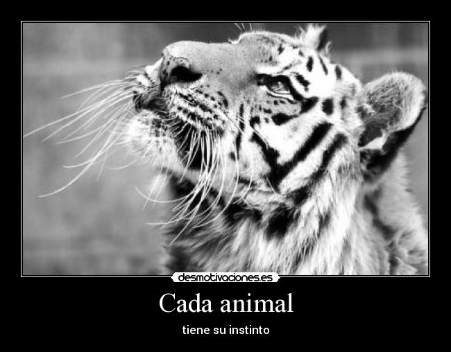 Cada animal - tiene su instinto