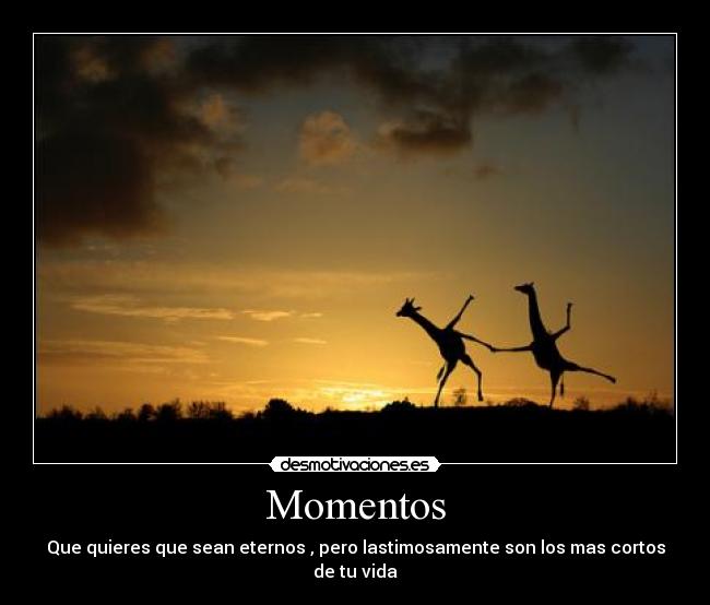 Momentos - 