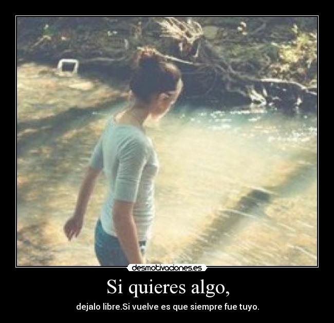 Si quieres algo, - dejalo libre.Si vuelve es que siempre fue tuyo.