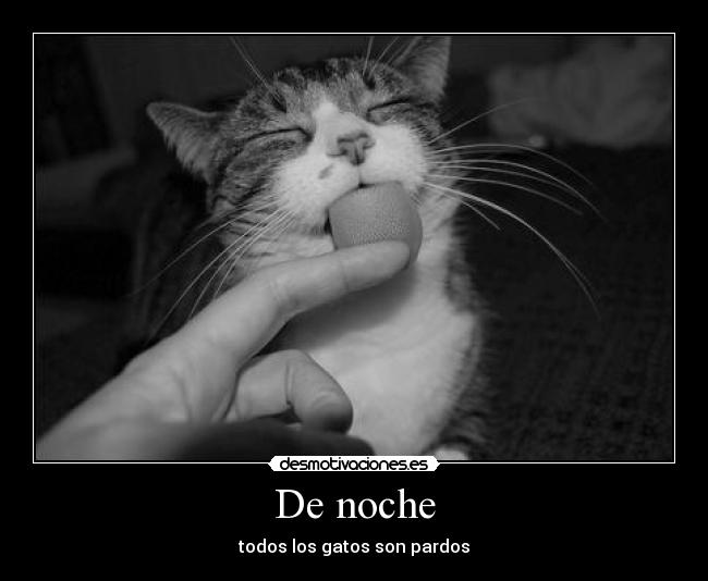 De noche - todos los gatos son pardos