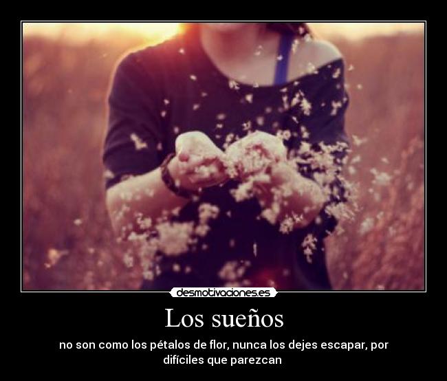 Los sueños - no son como los pétalos de flor, nunca los dejes escapar, por difíciles que parezcan ♥