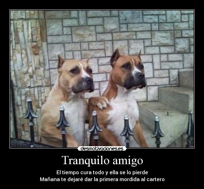 Tranquilo amigo - El tiempo cura todo y ella se lo pierde
Mañana te dejaré dar la primera mordida al cartero