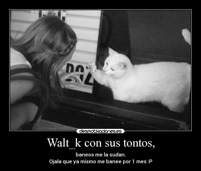 Walt_k con sus tontos, - 