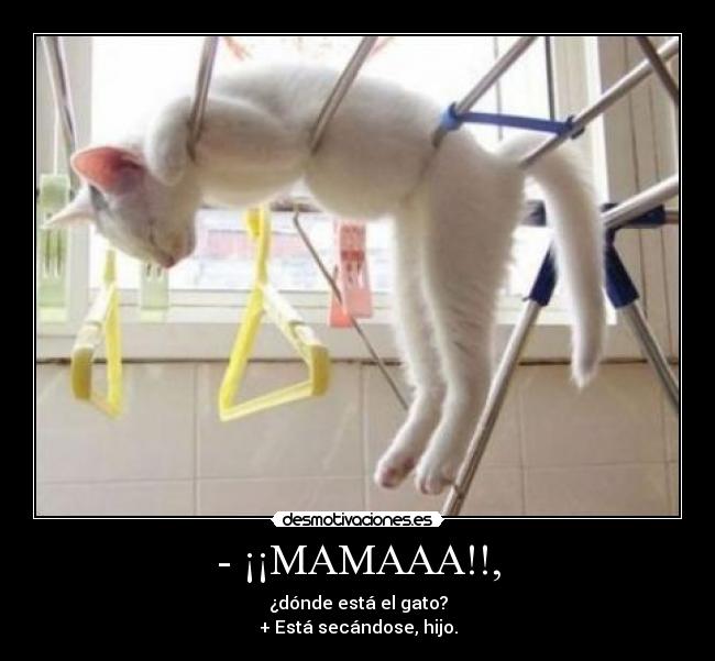 - ¡¡MAMAAA!!, -