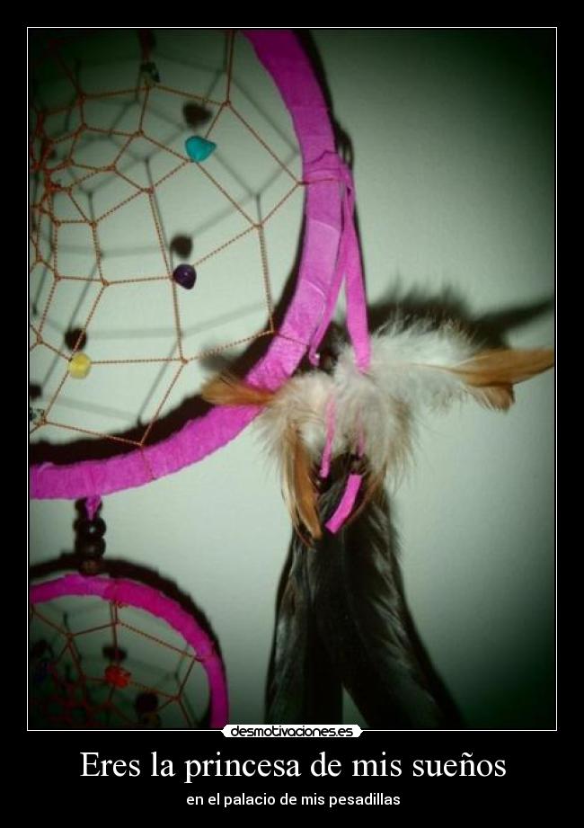 carteles yzel princesa mis suenos desmotivaciones
