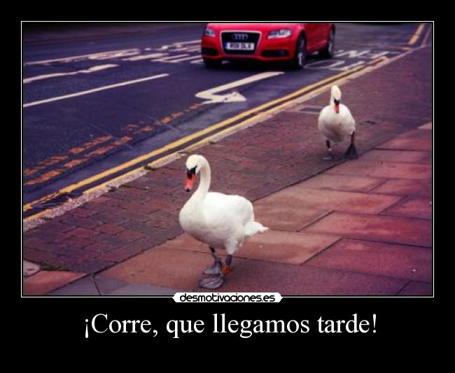 ¡Corre, que llegamos tarde! - 