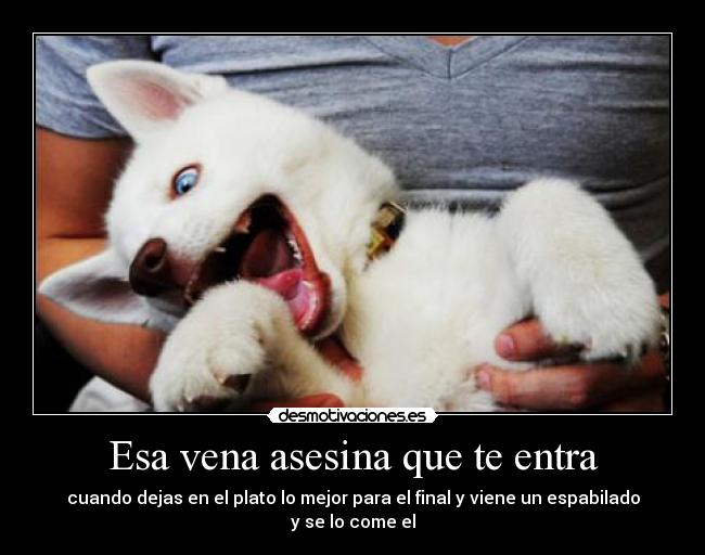 Esa vena asesina que te entra - 