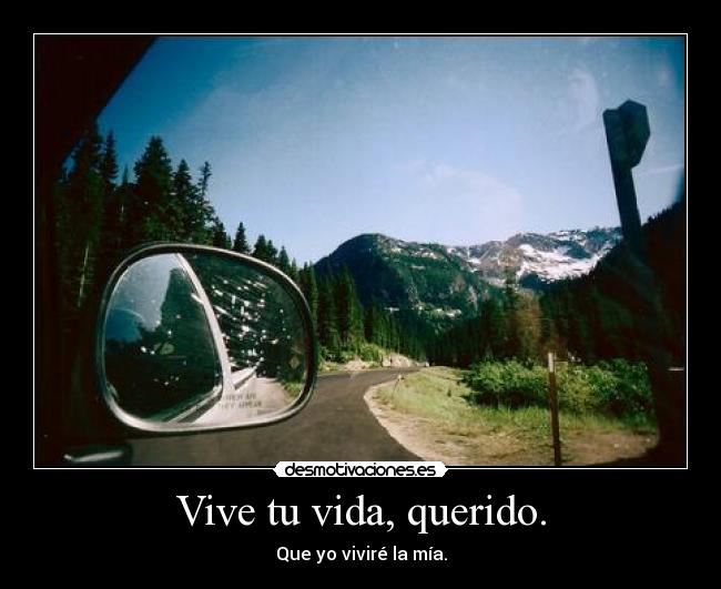 Vive tu vida, querido. - 